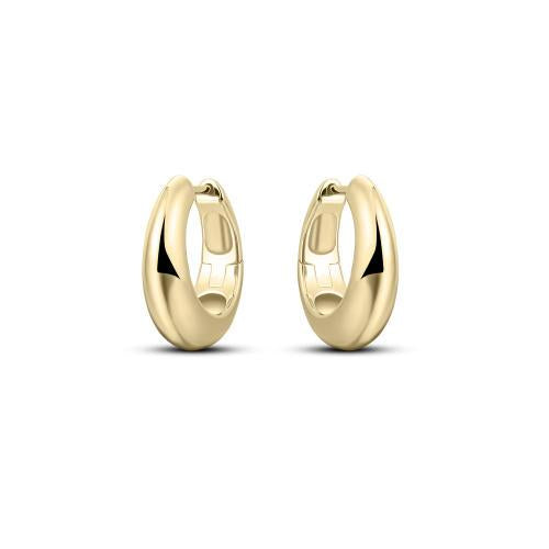 Polished Hoops