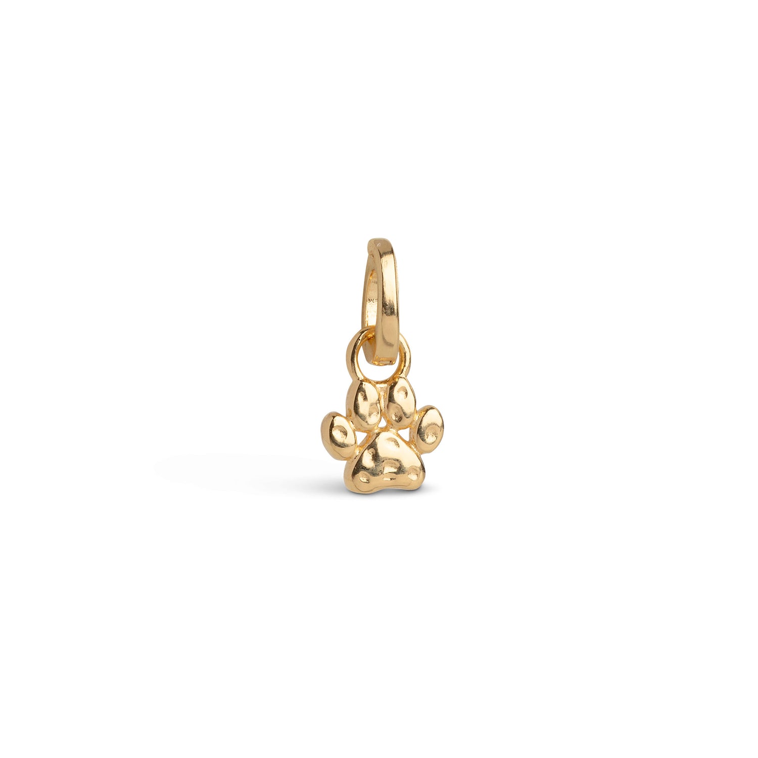 Sweet Paw Charm
