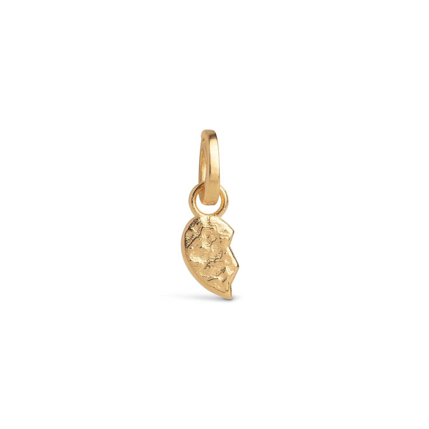 Twin Heart Charm