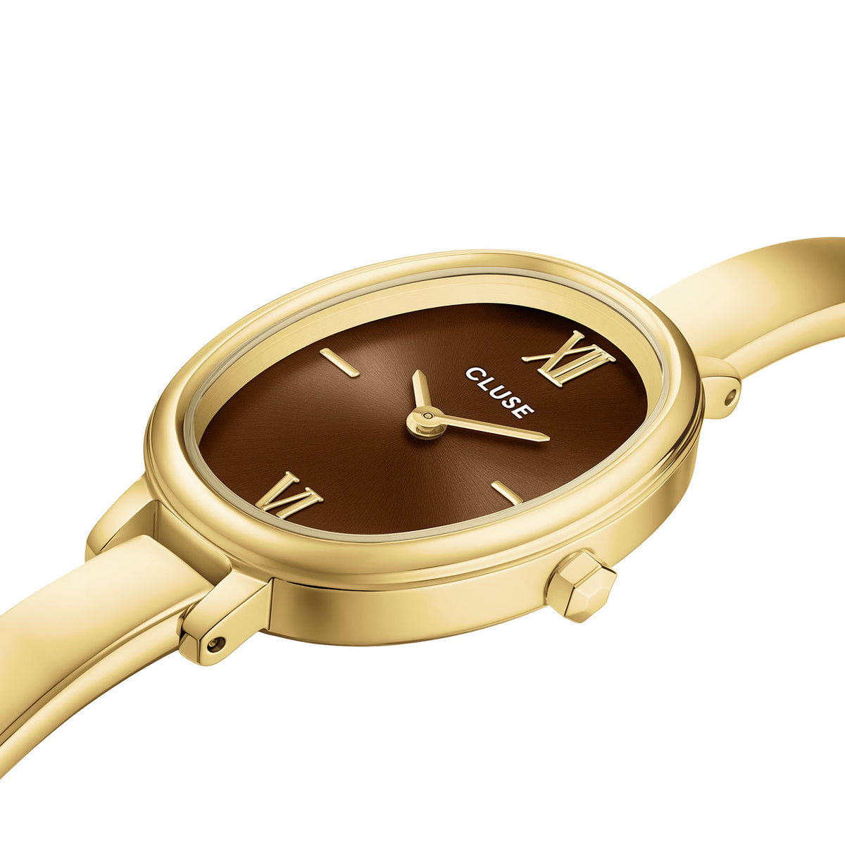 L'Ovale Watch Steel, Brown, Gold Colour