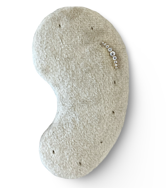 Gold Plated 9 Gem Curved Flat