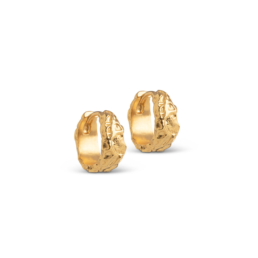 Nela Hoops