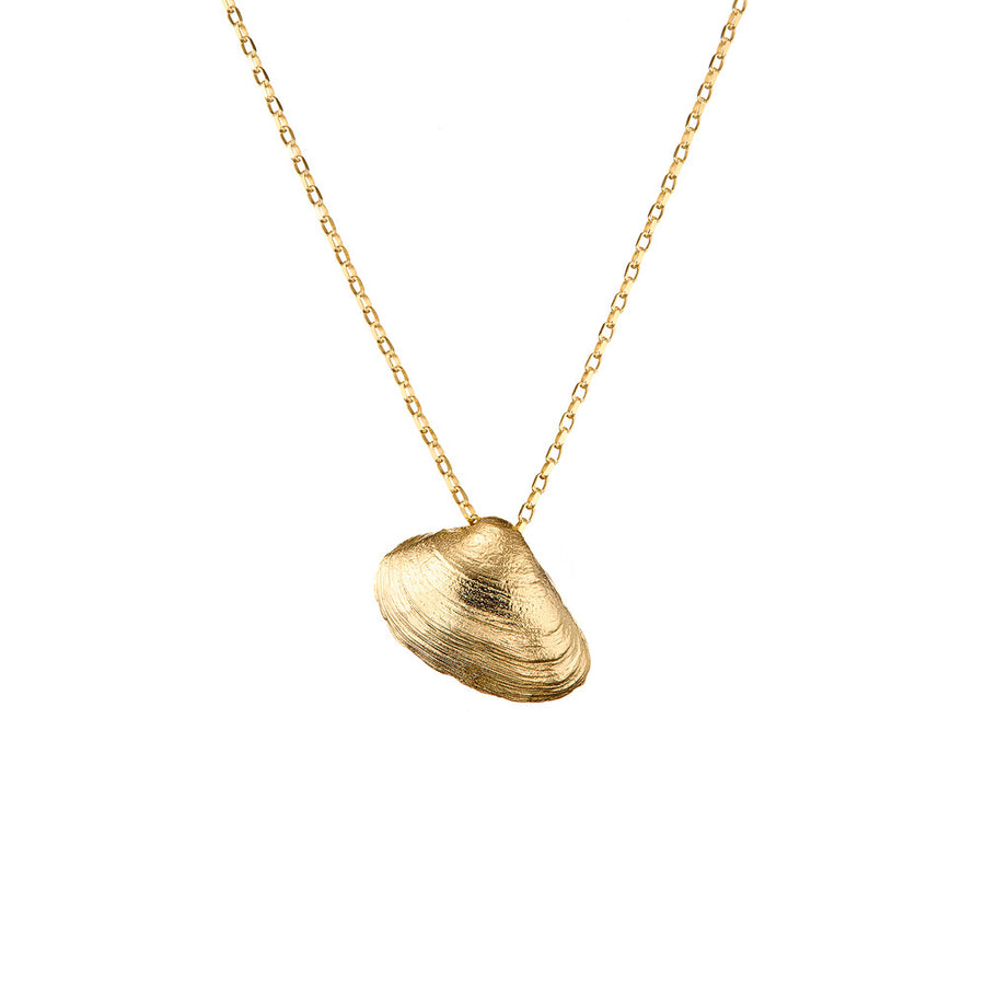 Clam Shell 9ct Gold Necklace