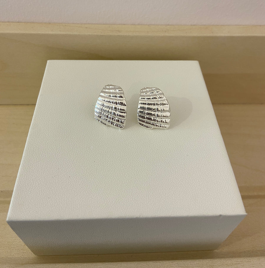 Shell Stud Earrings