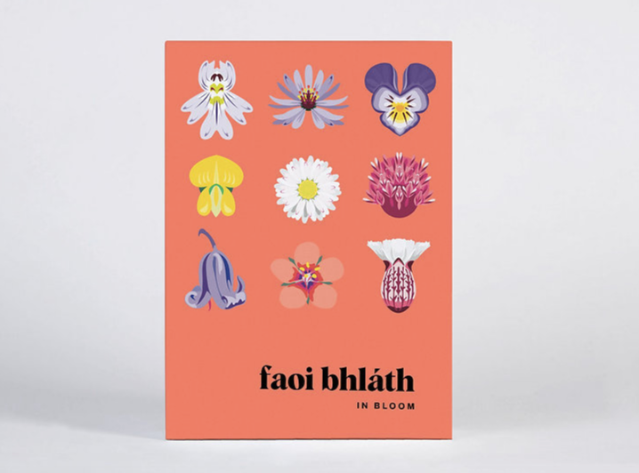 FAOI BHLÁTH / IN BLOOM – 15 Thank you notecards with envelopes