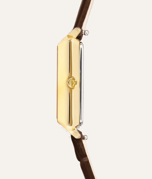 Watch Iconic Spikes bracelet Leather Mocha Mousse gold