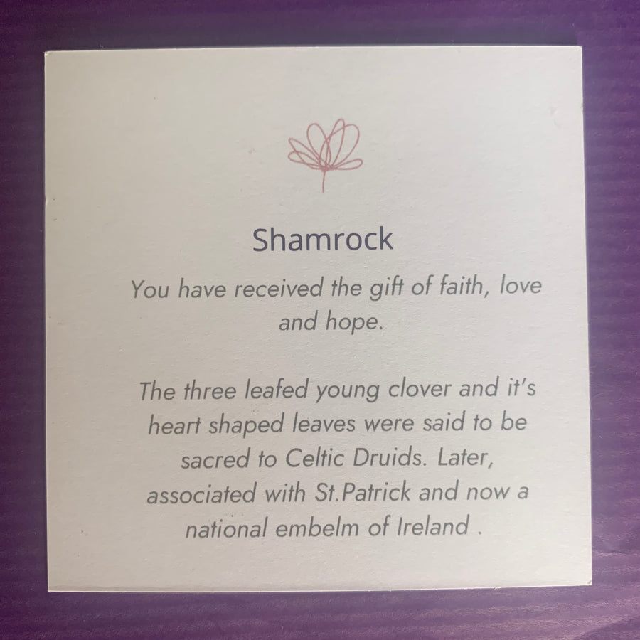 Shamrock Silver Necklace (Symbolising faith, love and hope)
